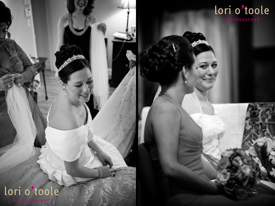 dana's veil