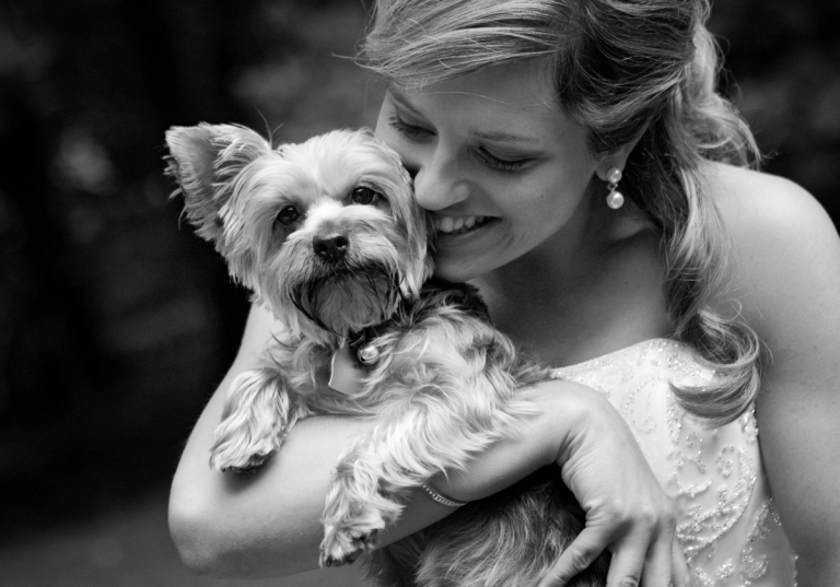 dog in wedding