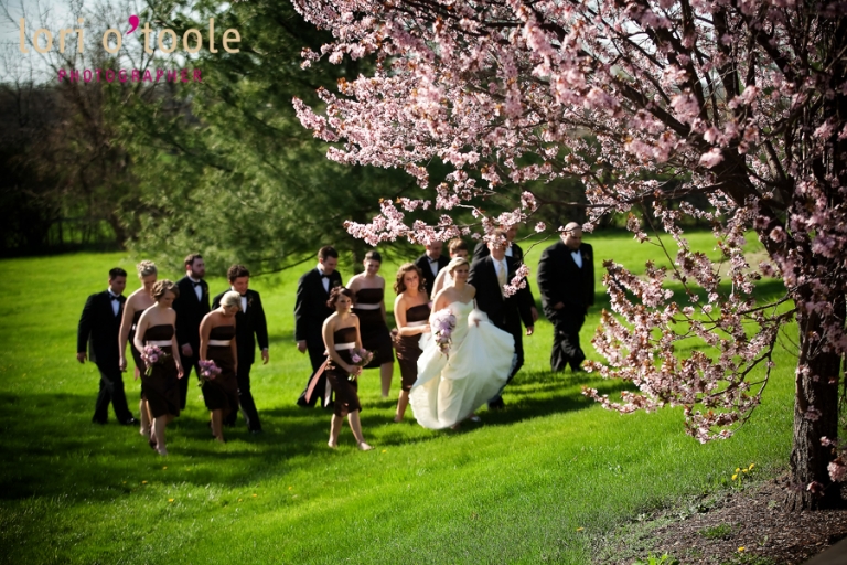 apple blossoms bridal party