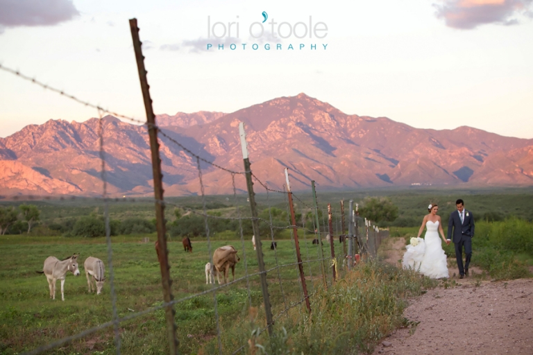Agua Linda Farm wedding, Tucson wedding, Lori OToole