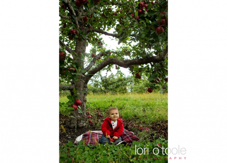 Porpiglia Farms, family portrait photographer, children's photographer, Lori OToole