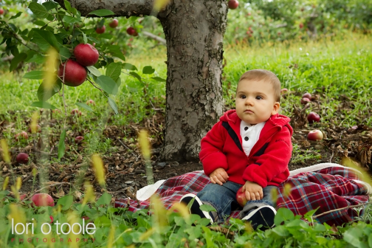 Porpiglia Farms, family portrait photographer, children's photographer, Lori OToole