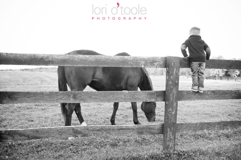 Hudson Valley family photographer, Dutchess County family photographer, Dutchess County children's photographer, Lori OToole