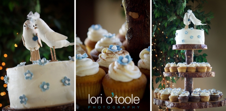 Tucson wedding; Saguaro Buttes wedding; Lori OToole; Tucson wedding photography; Tucson cupcakes