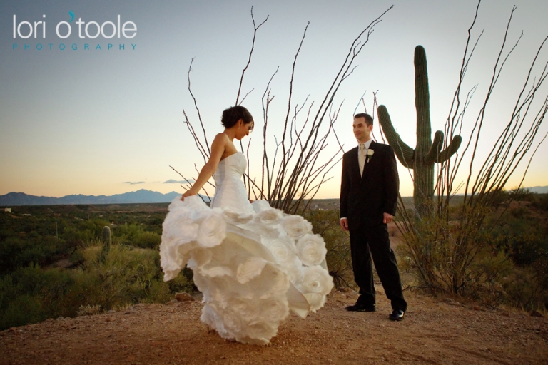 Saguaro Buttes