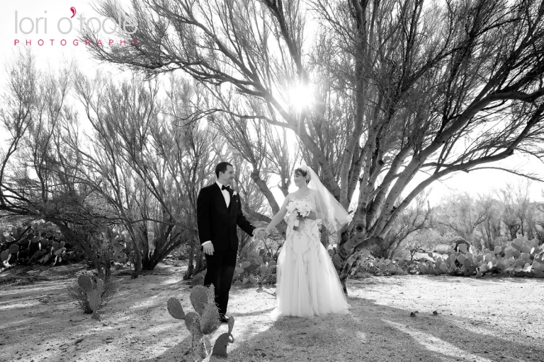 Tucson wedding, Lori OToole Photography