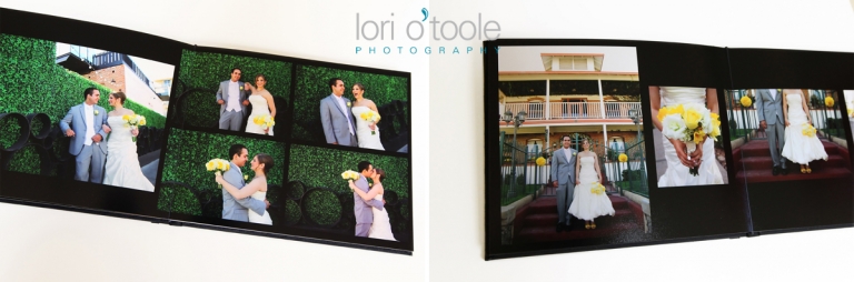 Tucson wedding photographer; Tucson wedding album