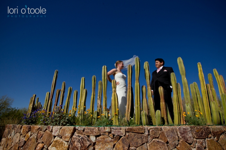 Tucson wedding photography; Tohono Chul Park wedding; Lori OToole