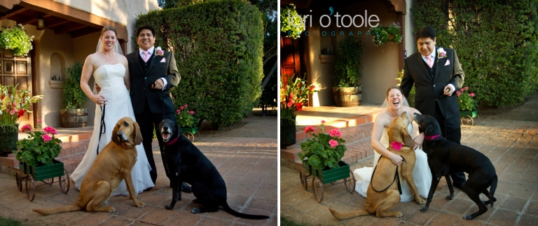 Tucson wedding photography; Tohono Chul Park wedding; Lori OToole