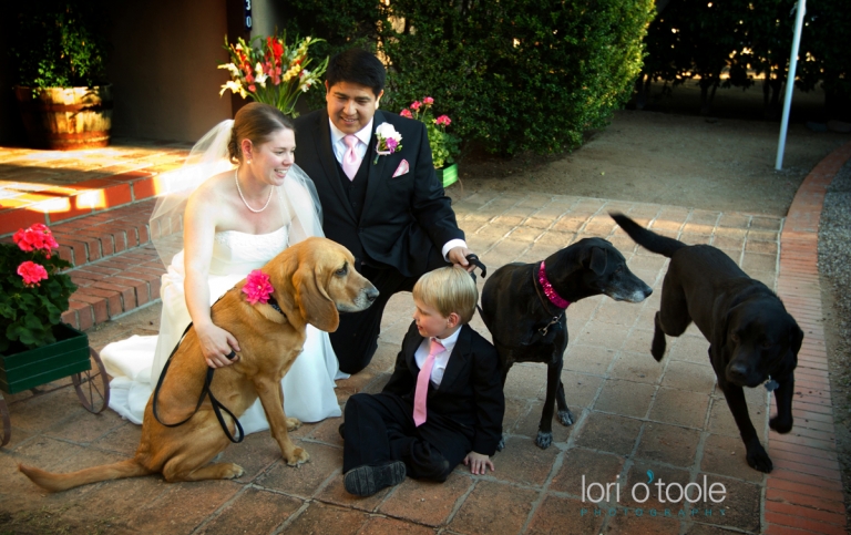 Tucson wedding photography; Tohono Chul Park wedding; Lori OToole