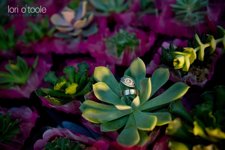 Tucson wedding photography; Tohono Chul Park wedding; Lori OToole
