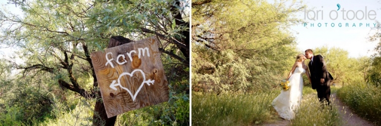 Summer and Jeff; Agua Linda Farm wedding; Lori OToole photography; Tucson wedding photography