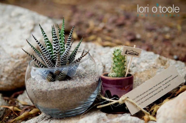 Westward Look Wedding, Tucson wedding photography, Lori OToole photography, monsoon wedding