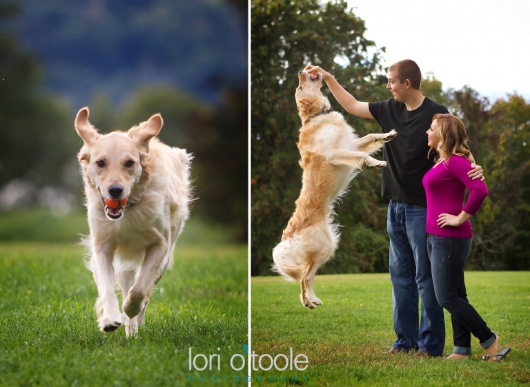 Hudson Valley engagement photos; Bard College wedding; Lori OToole Photography