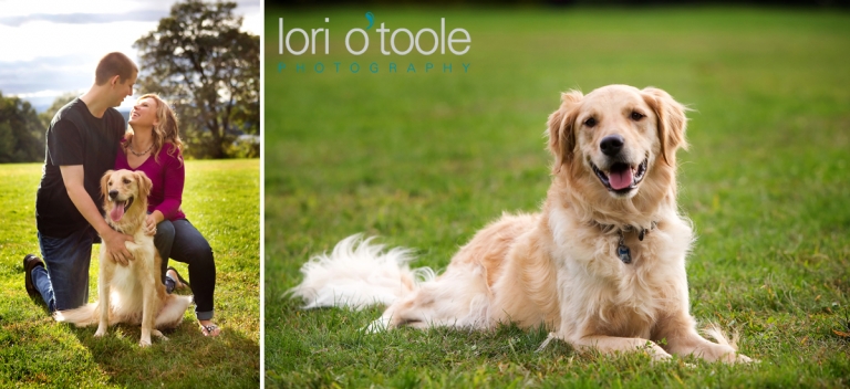 Hudson Valley engagement photos; Bard College wedding; Lori OToole Photography