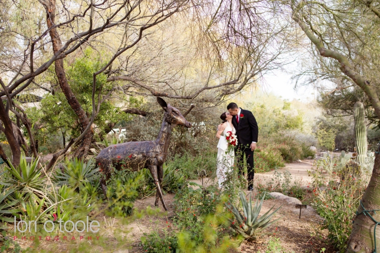 Tohono Chul wedding; Tohono Chul gardens; Victoria and Tim