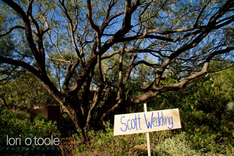 Megan and Carson; Lori OToole photography; Kartchner Caverns wedding