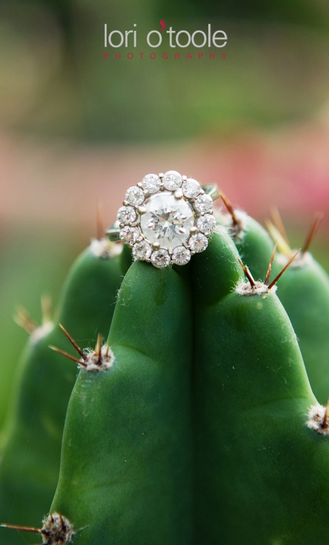 Tucson Engagement; Lori OToole Photogrpahy; Jyotsna and Lynn; Barrio engagement photos