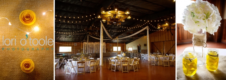 Stardance Tucson; Rustic wedding in Tucson; Lori OToole Photography