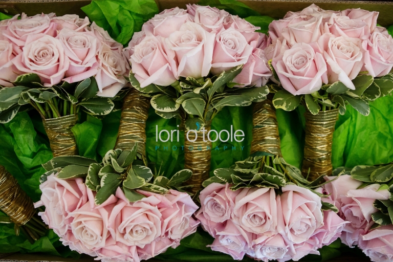 Davenport Park wedding; Hudson Valley wedding photography; Lori OToole Photography