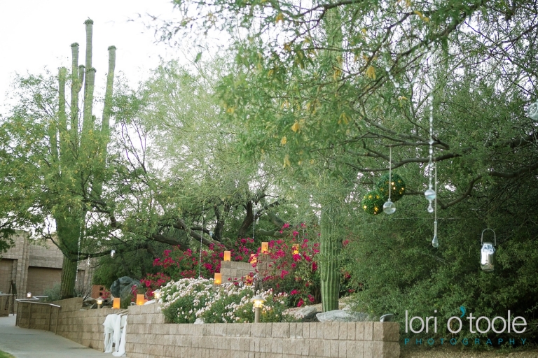 Loews Ventana Wedding; Tucson Wedding; Lori OToole Photography