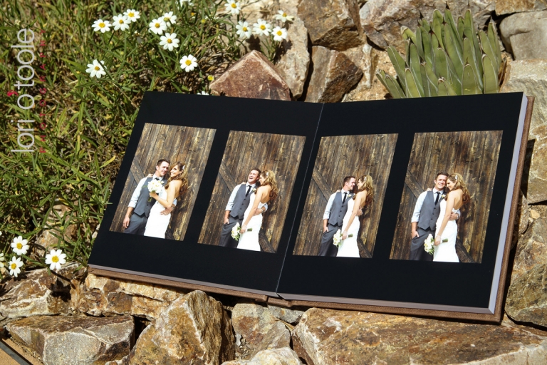 wedding at Stardance Tucson, Lori OToole Photography, wedding album