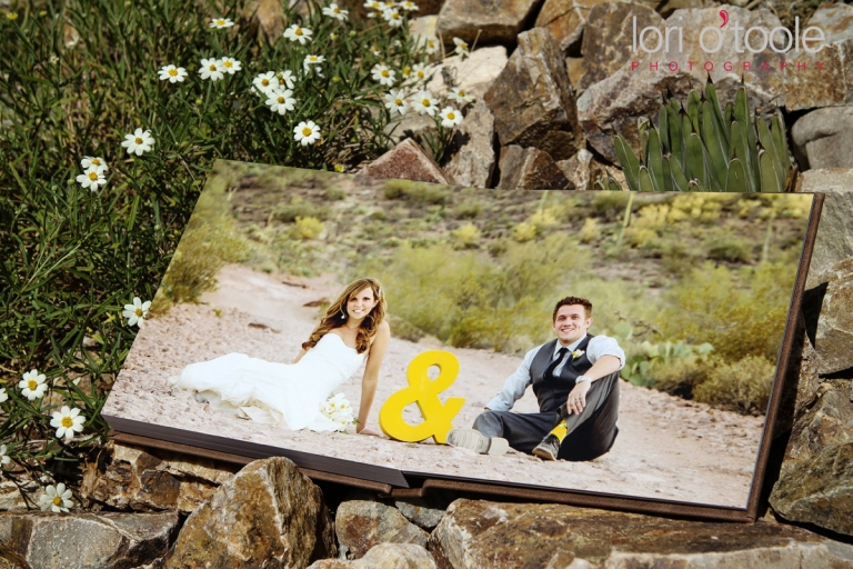 wedding at Stardance Tucson, Lori OToole Photography, wedding album
