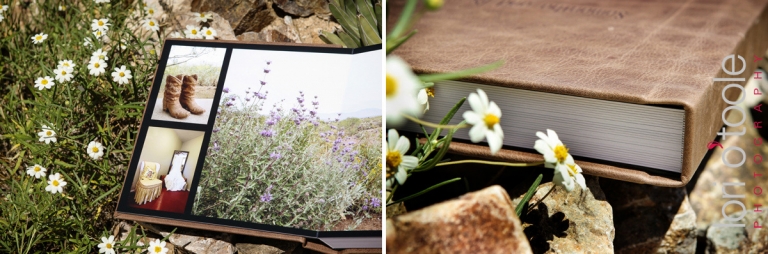 wedding at Stardance Tucson, Lori OToole Photography, wedding album