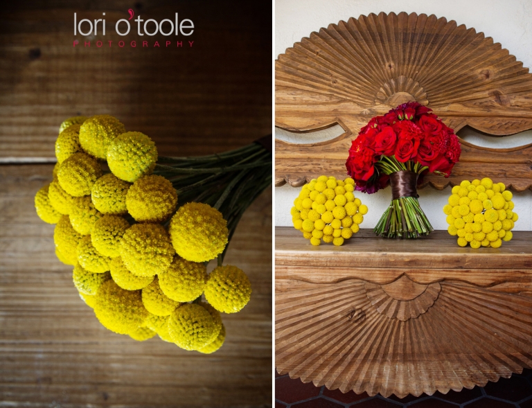 Wedding at Hacienda Del Sol,; Tucson Wedding photography; Lori OToole Photography; Bianca and Shelby