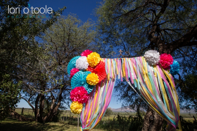 Gorgeous Agua Linda Farm wedding; Lori OToole Photography; Lauren and Todd