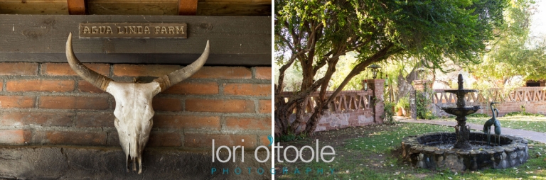 Gorgeous Agua Linda Farm wedding; Lori OToole Photography; Lauren and Todd; rustic Arizona wedding
