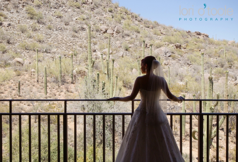  Ritz Carlton Dove Mountain wedding; Lori OToole Photography