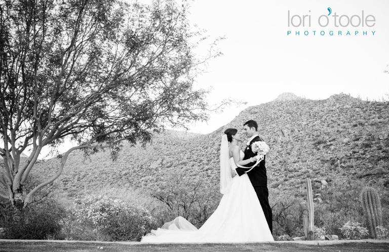 Ritz Carlton Dove Mountain wedding; Lori OToole Photography
