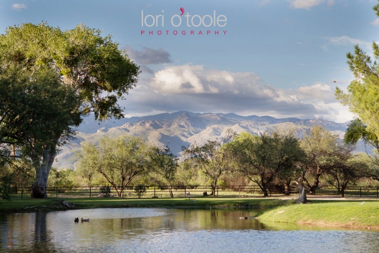 wedding at LaMariposa; Tucson wedding photography; Lori OToole photography; LaMariposa in Tucson