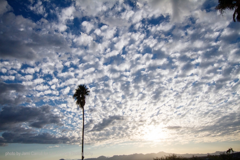 Sam and Kris wedding; Skyline Country Club wedding: Tucson wedding photographer Lori OToole