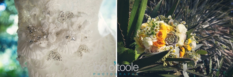 Tohono Chul Park Wedding; Kristen and Jagen; Lori OToole Photography