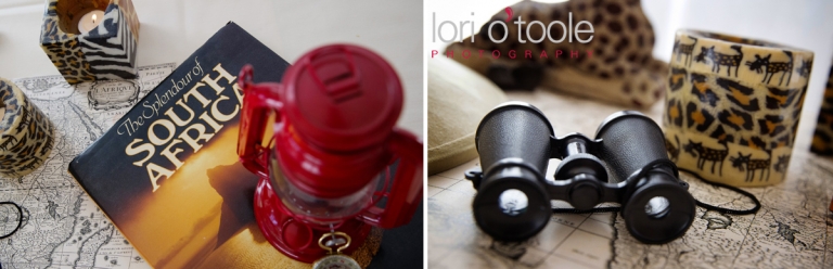 Jyotsna and Lynn; Skyine Country Club wedding; Indian wedding; Lori OToole Photography; Africa