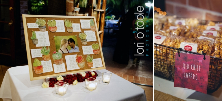 Tohono Chul Park Wedding; Kristen and Jagen; Lori OToole Photography