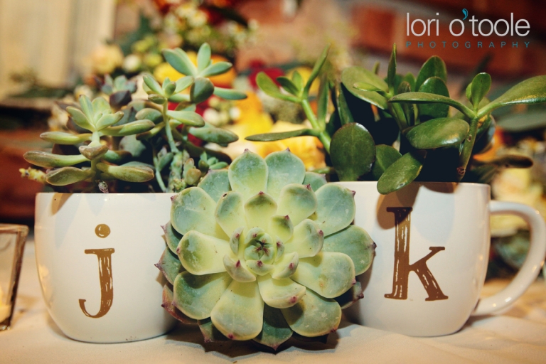 Tohono Chul Park Wedding; Kristen and Jagen; Lori OToole Photography