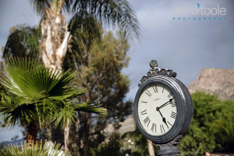 Reflections at the Buttes wedding; Lyssa and Manny; Lori OToole Photography; Tucson wedding photography