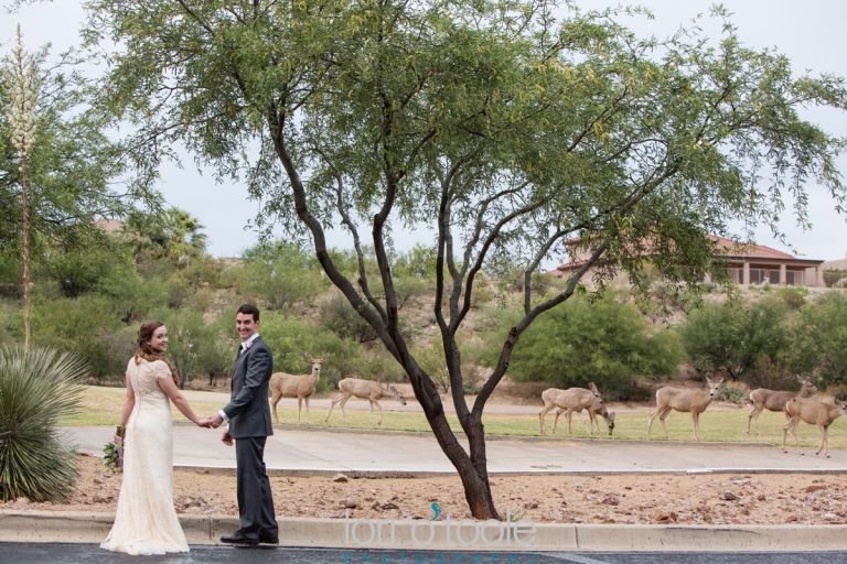 Tohono Chul Park wedding; Ally and Alex; Lori OToole Photography