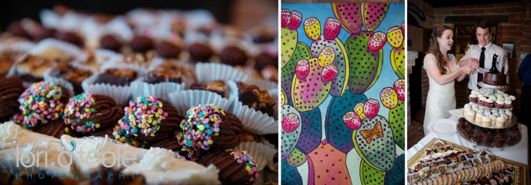 Tohono Chul Park wedding; Ally and Alex; Lori OToole Photography