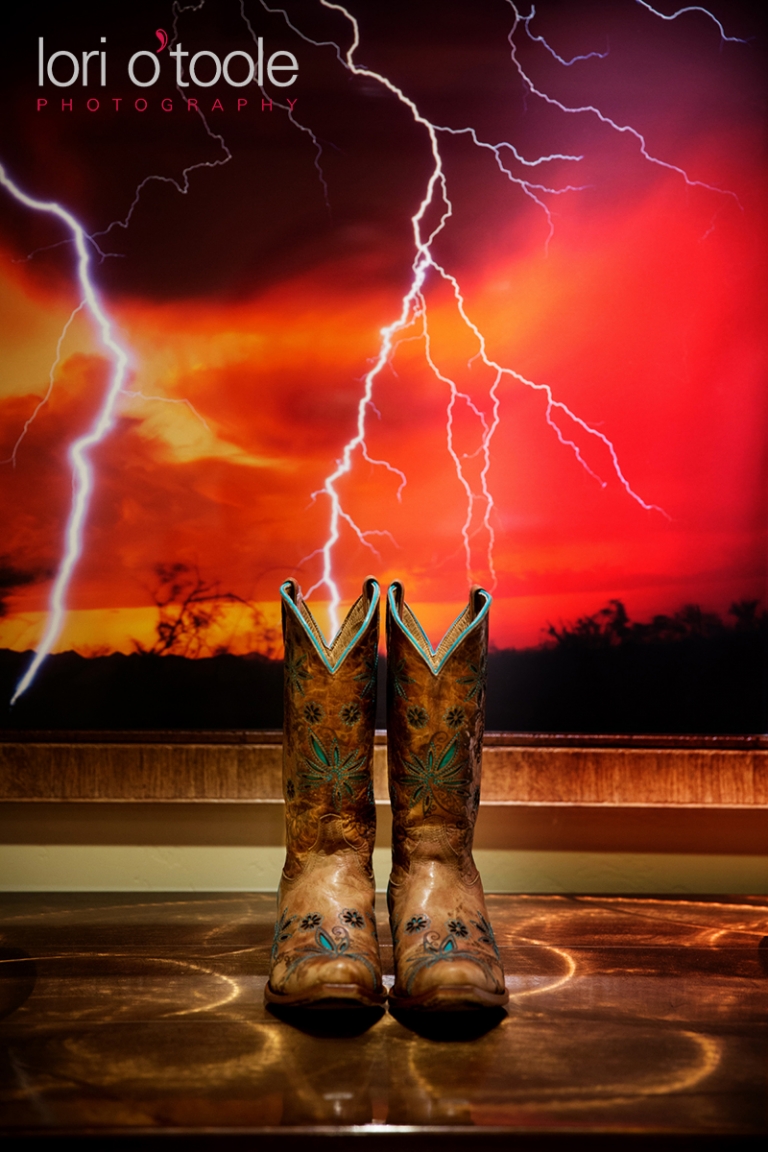 Wedding at Ritz Carlton Dove Mountain; Lori OToole Photography; Ritz Carlton Weddings