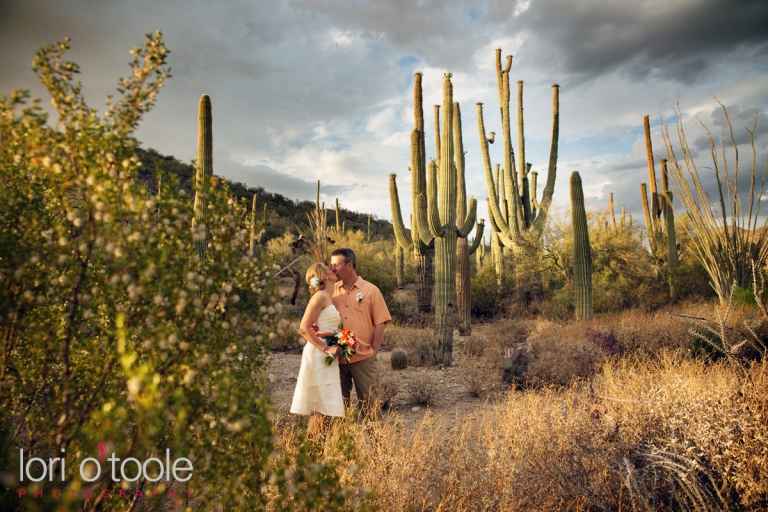 Wedding at Ritz Carlton Dove Mountain; Lori OToole Photography; Ritz Carlton Weddings