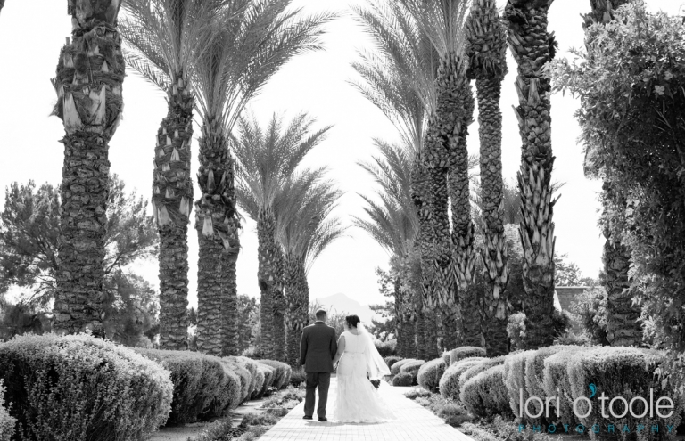 Omni Tucson Wedding; Lori OToole Photography