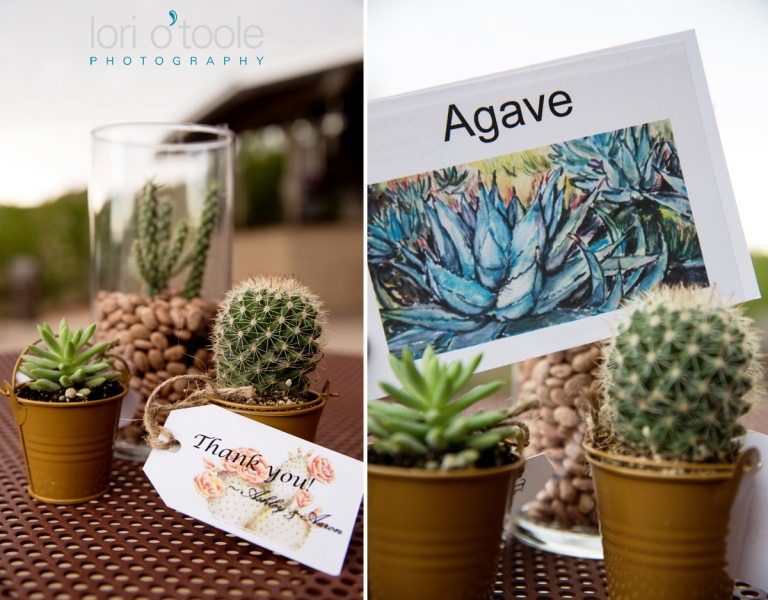 Wedding at Stardance in Tucson; Ashley and Aaron; Lori OToole Photography