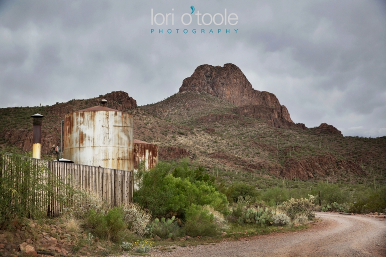 Wedding at Stardance in Tucson; Ashley and Aaron; Lori OToole Photography