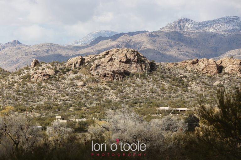 Winter wedding at Tanque Verde Guest Ranch, Lori OToole Photography, Wedding in Tucson