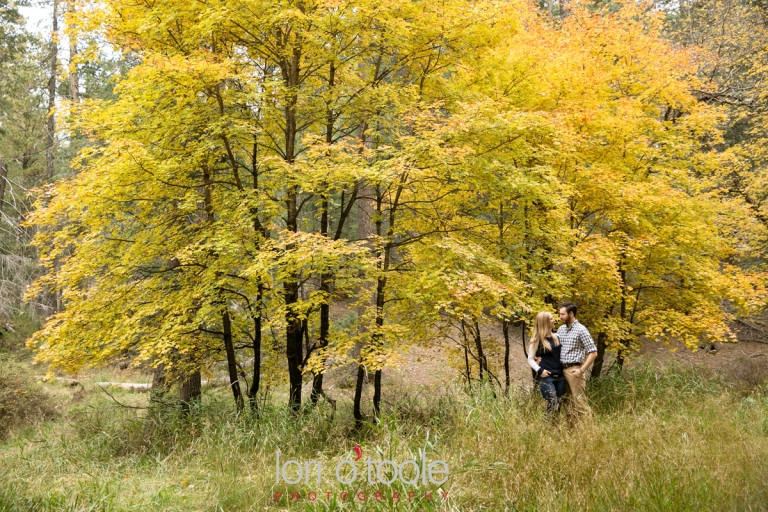 Mt Lemmon engagement photos, Lori OToole Photography, fall in Arizona