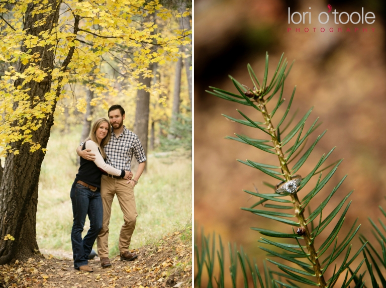Mt Lemmon engagement photos, Lori OToole Photography, fall in Arizona